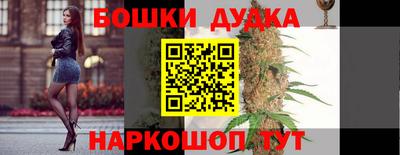 крисы Заводоуковск