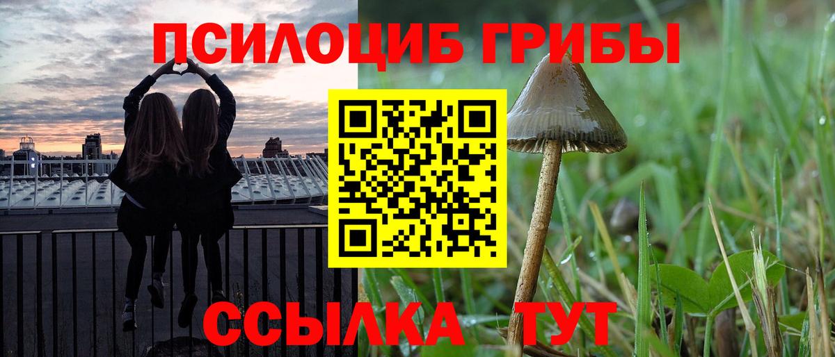 Галлюциногенные грибы ЛСД Малоярославец